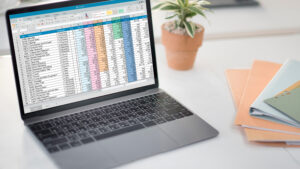 How to Replace Excel with a Web Application to Eliminate Hidden Costs