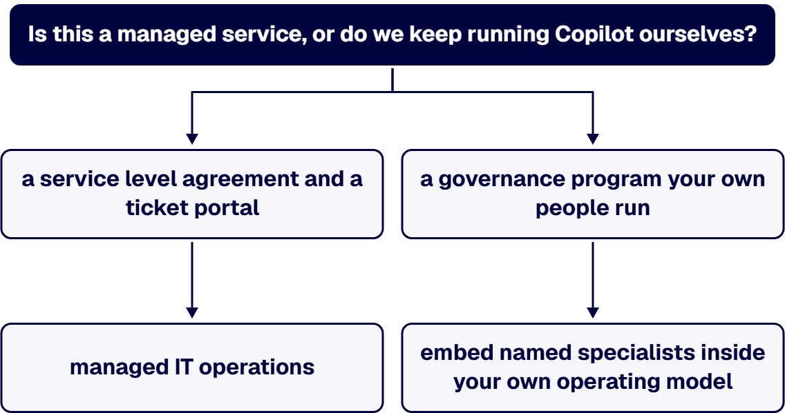You hire a delivery firm to build the governance program, rather than a managed IT provider to take ownership of the tenant.